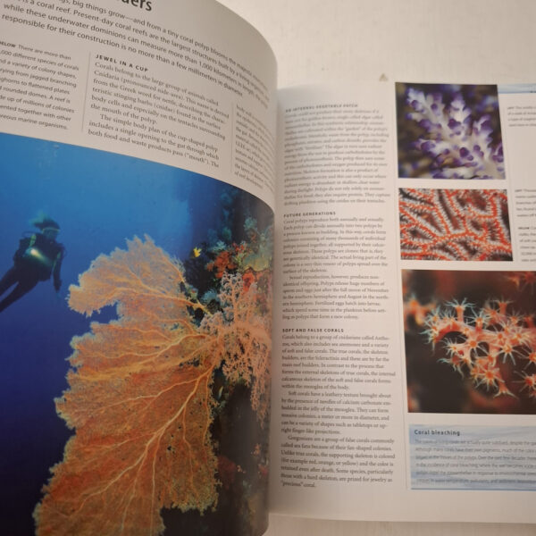 Maritimea: Above And Beneath The Waves: The Illustrated Guide To The Maritime World – Charles F. Gritzner secondhand book