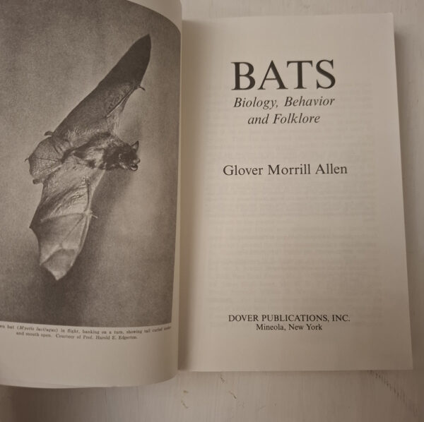 Bats: Biology, Behavior And Folklore – Glover Morrill Allen secondhand book