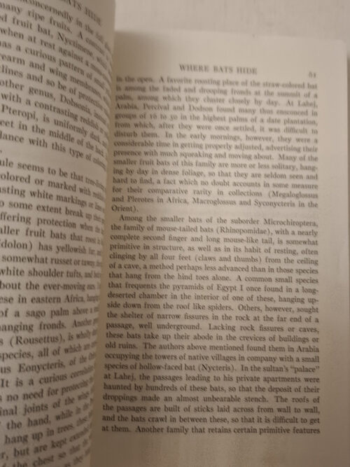 Bats: Biology, Behavior And Folklore – Glover Morrill Allen secondhand book