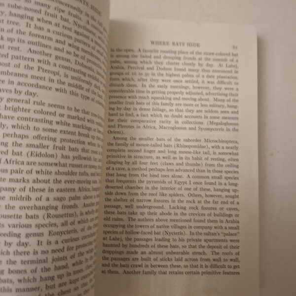 Bats: Biology, Behavior And Folklore – Glover Morrill Allen secondhand book