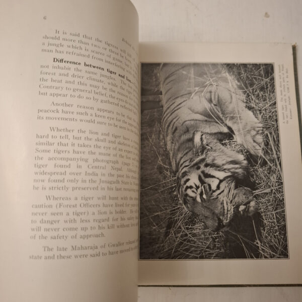 20251211_212029 Behind The Lens In Tigerland – Arthur Musselwhite secondhand book