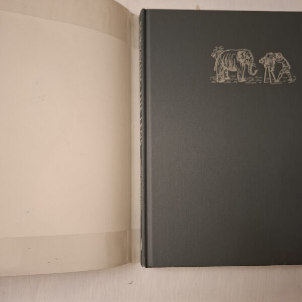 Surviving The Lens – Stevenson, Graham-Stewart secondhand book