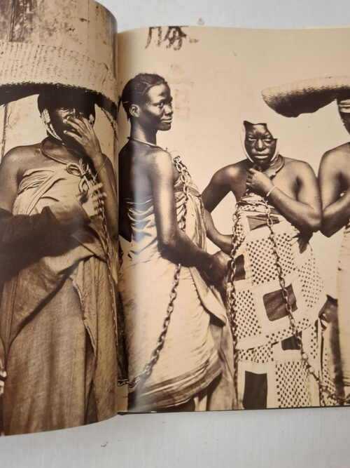 Surviving The Lens – Stevenson, Graham-Stewart secondhand book