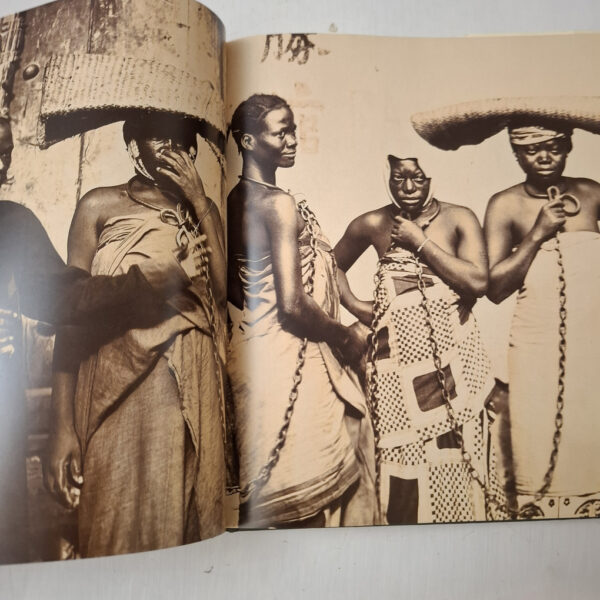 Surviving The Lens – Stevenson, Graham-Stewart secondhand book