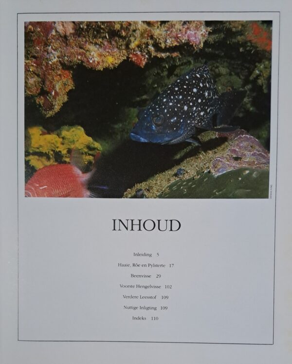 ‘n Gids Tot Seevisse Van Suider-Afrika – Rudy Van Der Elst secondhand book