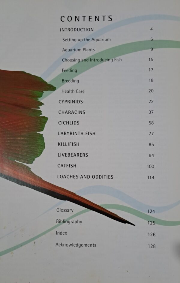 Tropical Freshwater Fish – David Alderton secondhand book