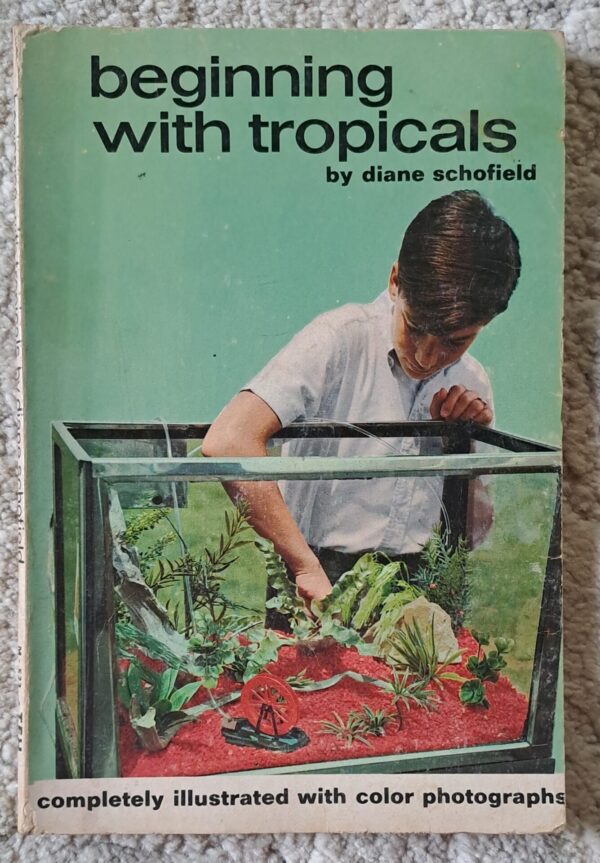 Beginning With Tropicals – Diane Schofield secondhand book