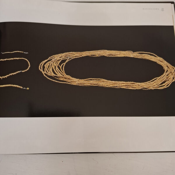 Mapungubwe: South Africa’s Crown Jewels – Sian Tiley secondhand book