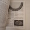 Jewelry: Concepts And Technology – Oppi Untracht secondhand book