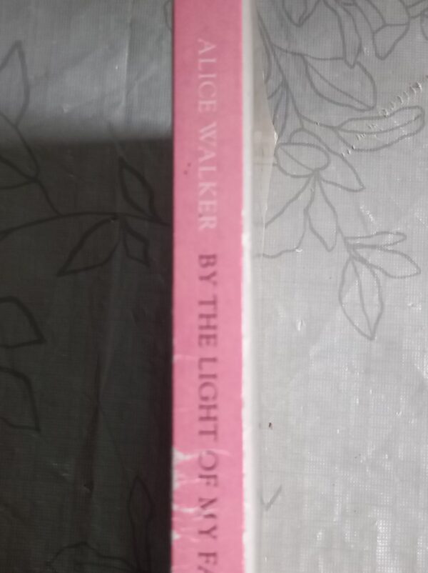 By The Light Of My Father’s Smile – Alice Walker secondhand book
