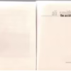 The Accidental — Ali Smith secondhand book