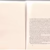 The Accidental — Ali Smith secondhand book