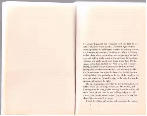 The Accidental — Ali Smith secondhand book