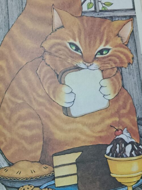 Catrunda – Stephen Cosgrove secondhand book