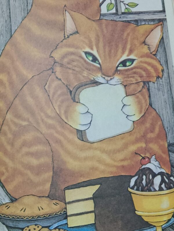 Catrunda – Stephen Cosgrove secondhand book