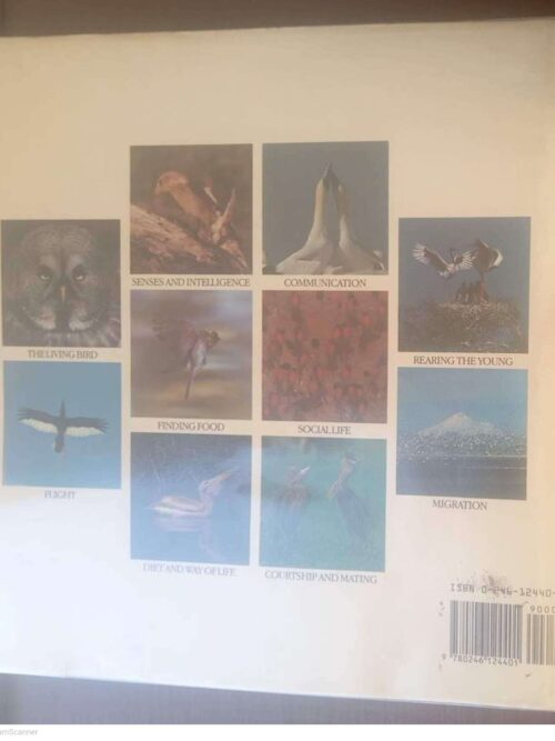 Bird Behaviour — Robert Burton secondhand book