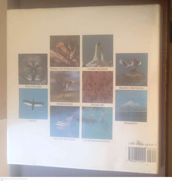 Bird Behaviour — Robert Burton secondhand book