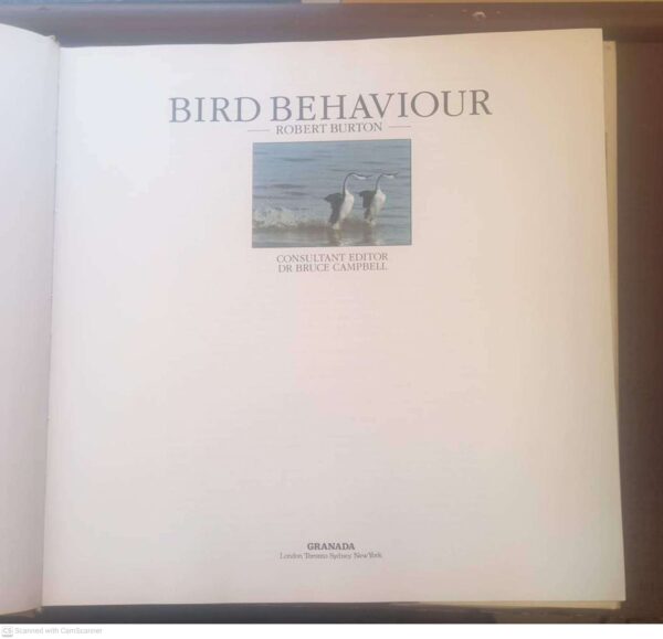 Bird Behaviour — Robert Burton secondhand book