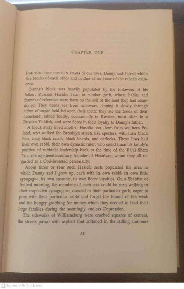 The Chosen — Chaim Potok secondhand book