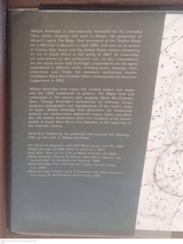 William Kentridge: Flute — Bronwyn Law-Viljoen secondhand book