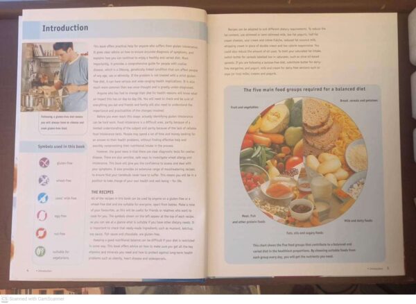 Gluten-Free Cooking5 Gluten-Free Cooking — Lyndel Costain, Joanna Farrow secondhand book