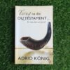 Terug na die Ou Testament – Adrio Konig secondhand book