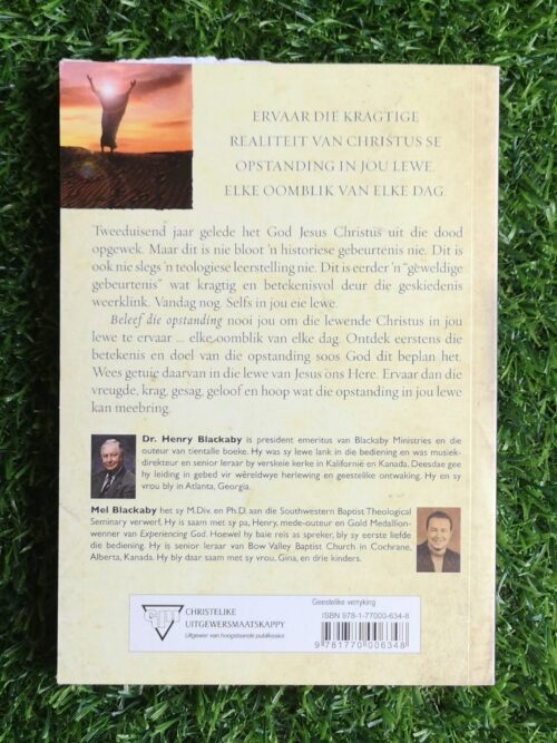 Beleef die opstanding – Henry Blackaby, Melvin Blackaby secondhand book