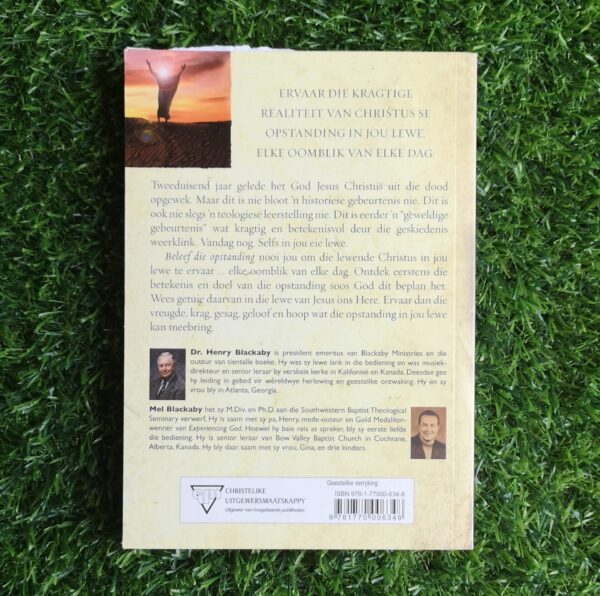 Beleef die opstanding – Henry Blackaby, Melvin Blackaby secondhand book