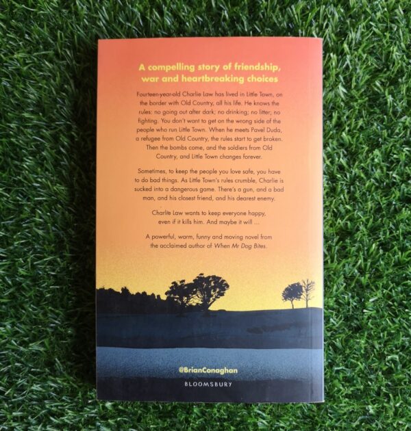 IMG_20260102_161949 The Bombs That Brought Us Together – Brian Conaghan secondhand book