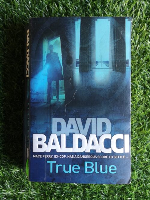 True Blue – David Baldacci secondhand book