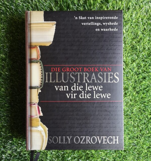 Die Groot Boek Van Illustrasies – Solly Ozrovech secondhand book