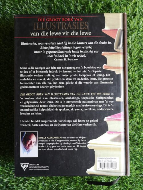 Die Groot Boek Van Illustrasies – Solly Ozrovech secondhand book