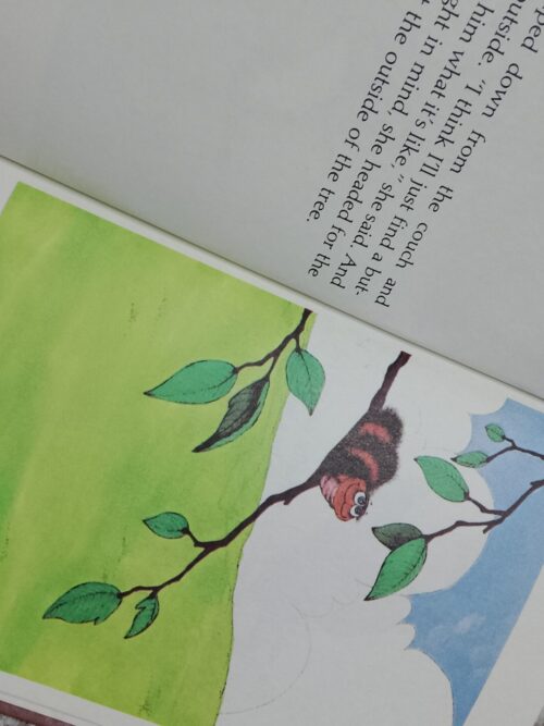 The Dream Tree – Stephen Cosgrove secondhand book