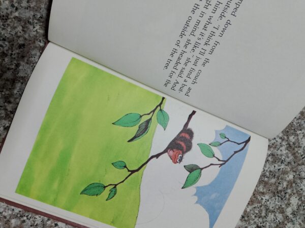 The Dream Tree – Stephen Cosgrove secondhand book