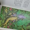 Creole – Stephen Cosgrove secondhand book
