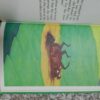 Nitter Pitter – Stephan Cosgrove secondhand book
