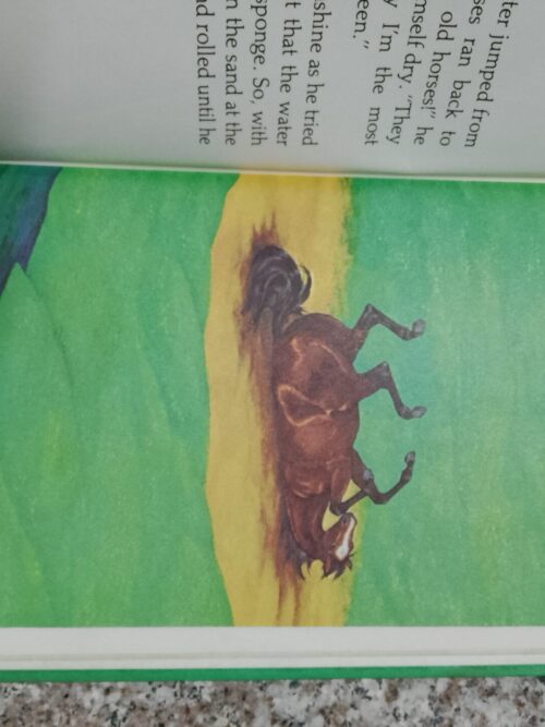 Nitter Pitter – Stephan Cosgrove secondhand book