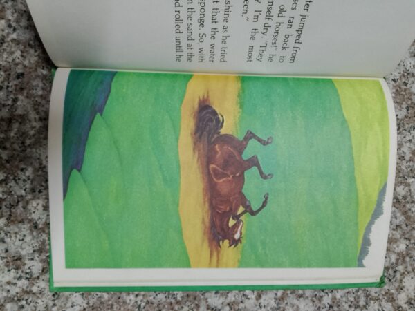 Nitter Pitter – Stephan Cosgrove secondhand book