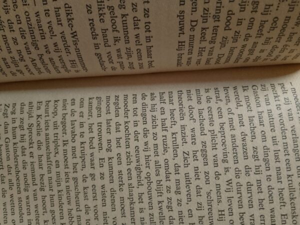 IMG_20260121_103658 Vergeten Street – Louis Paul Boon secondhand book