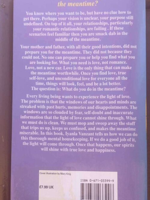 In The Meantime: Finding Yourself And The Love You Want — Iyanla Vanzant secondhand book