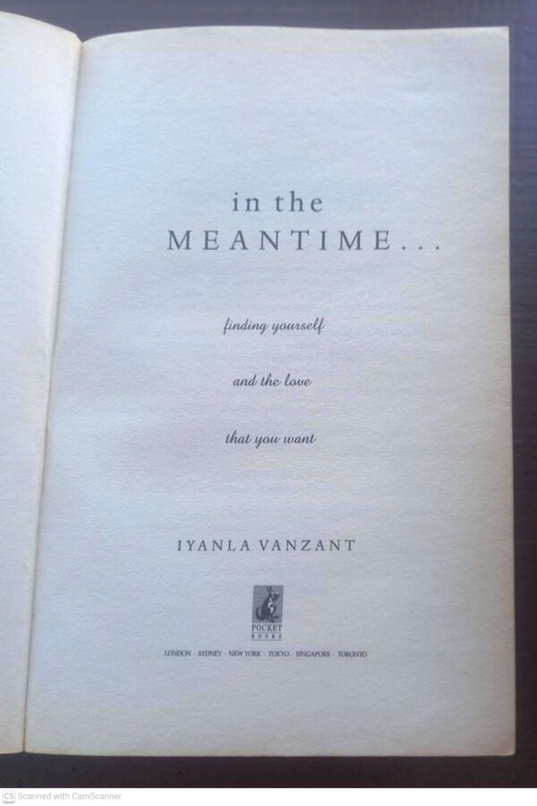 In The Meantime4 In The Meantime: Finding Yourself And The Love You Want — Iyanla Vanzant secondhand book