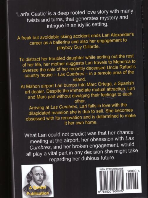 Lari’s Castle: A Romantic Mystery — Sheila Mary Taylor secondhand book
