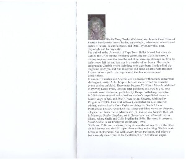 Lari’s Castle: A Romantic Mystery — Sheila Mary Taylor secondhand book