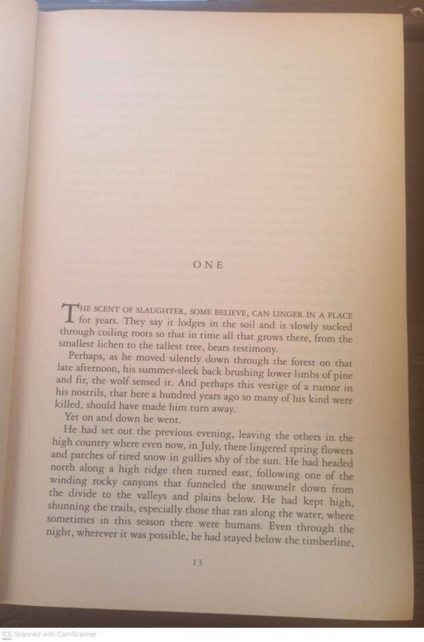 The Loop — Nicholas Evans secondhand book