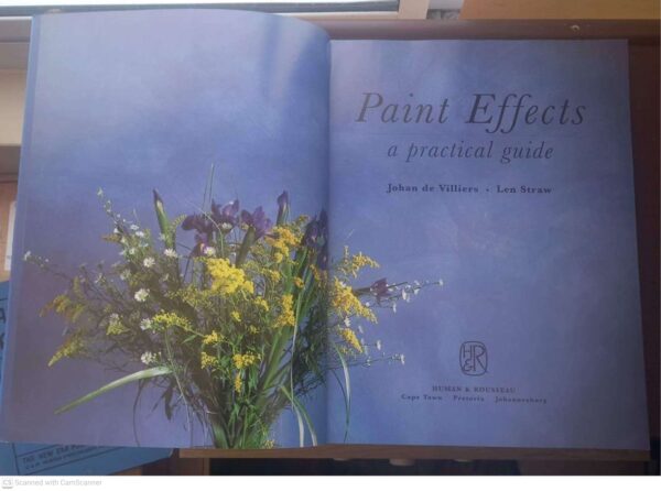 Paint Effects: A Practical Guide — Johan De Villiers, Len Straw secondhand book