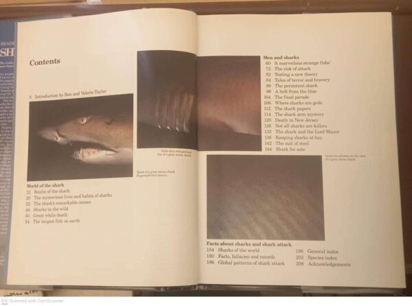 Sharks: Silent Hunters Of The Deep – Reader’s Digest secondhand book