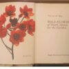 Wild Flowers Of South Africa For The Garden — Una Van Der Spuy secondhand book