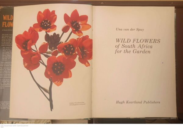 Wild Flowers Of South Africa For The Garden — Una Van Der Spuy secondhand book