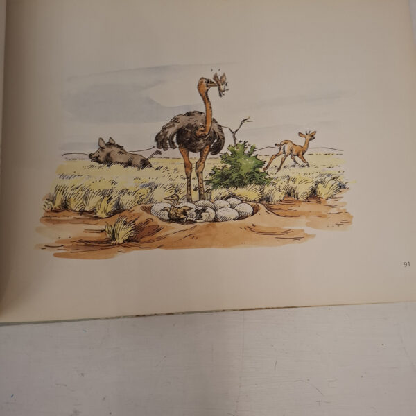 SWA Fables / Fabeln / Fabels – Joachim Voigts secondhand book