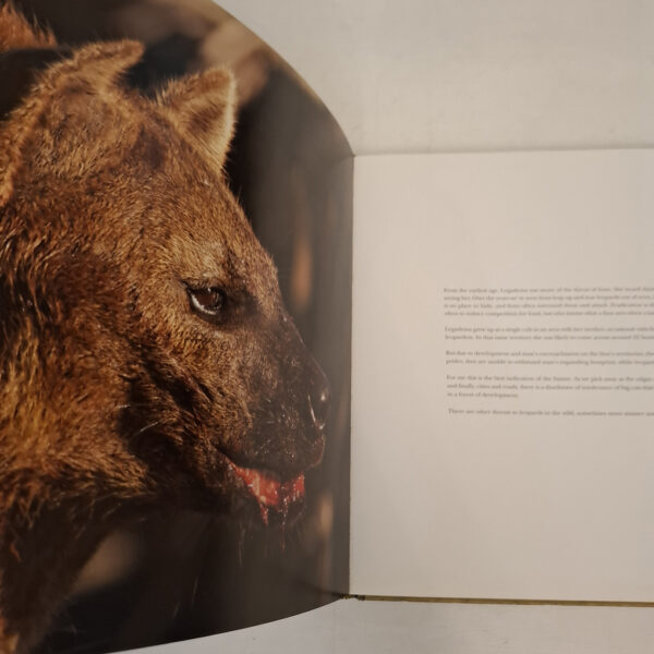 Eye Of The Leopard – Dereck Joubert secondhand book